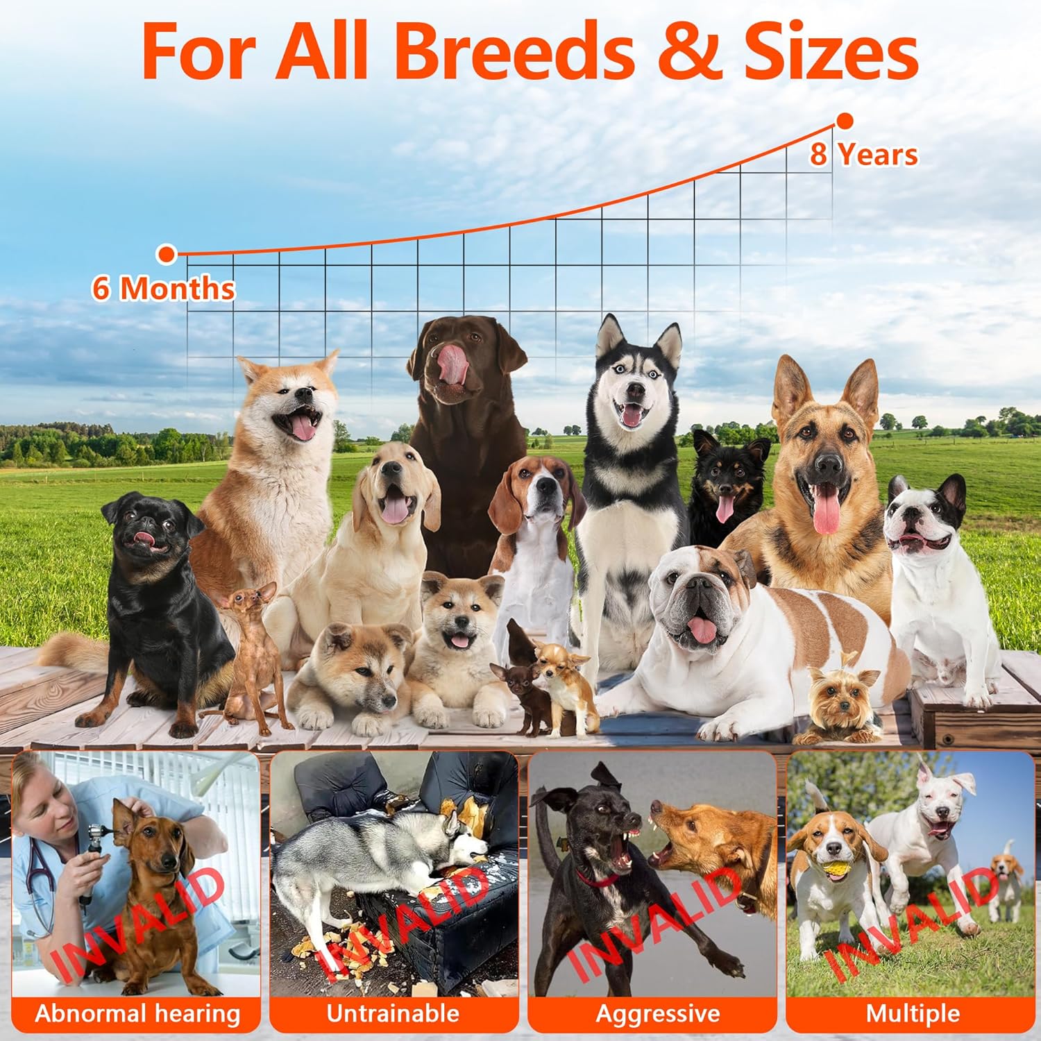 Ultrasonic Dog Bark Control Device - Automatic Deterrent for Training