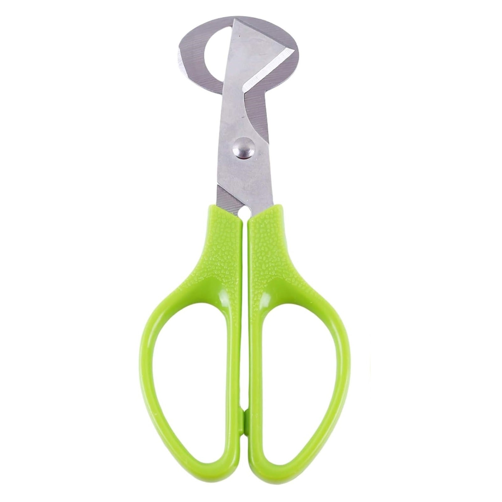 Pigeon Bird Quail Egg Cutter Tool