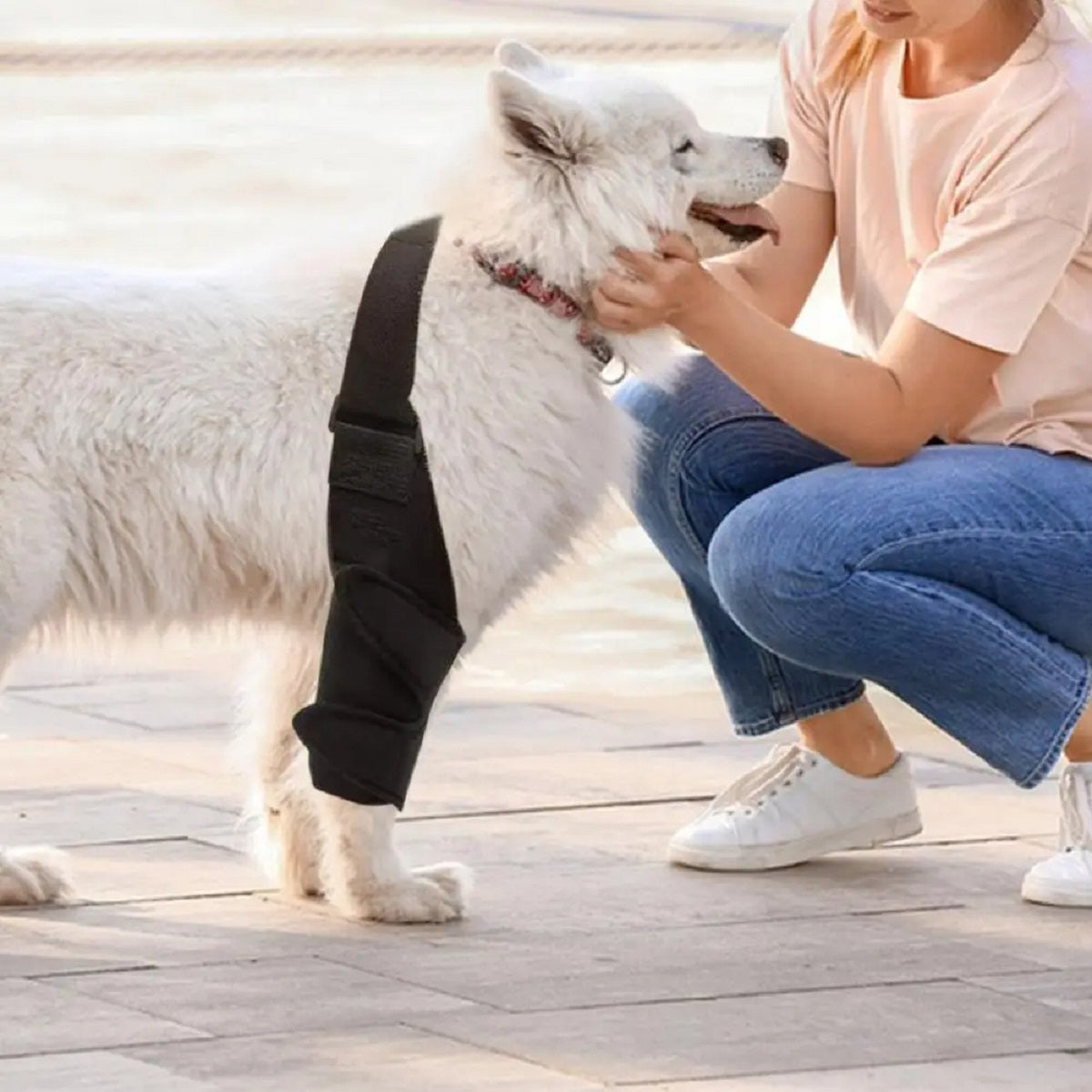 Dog Rear Leg Knee Brace - Adjustable Support for Acl Injury and Arthritis