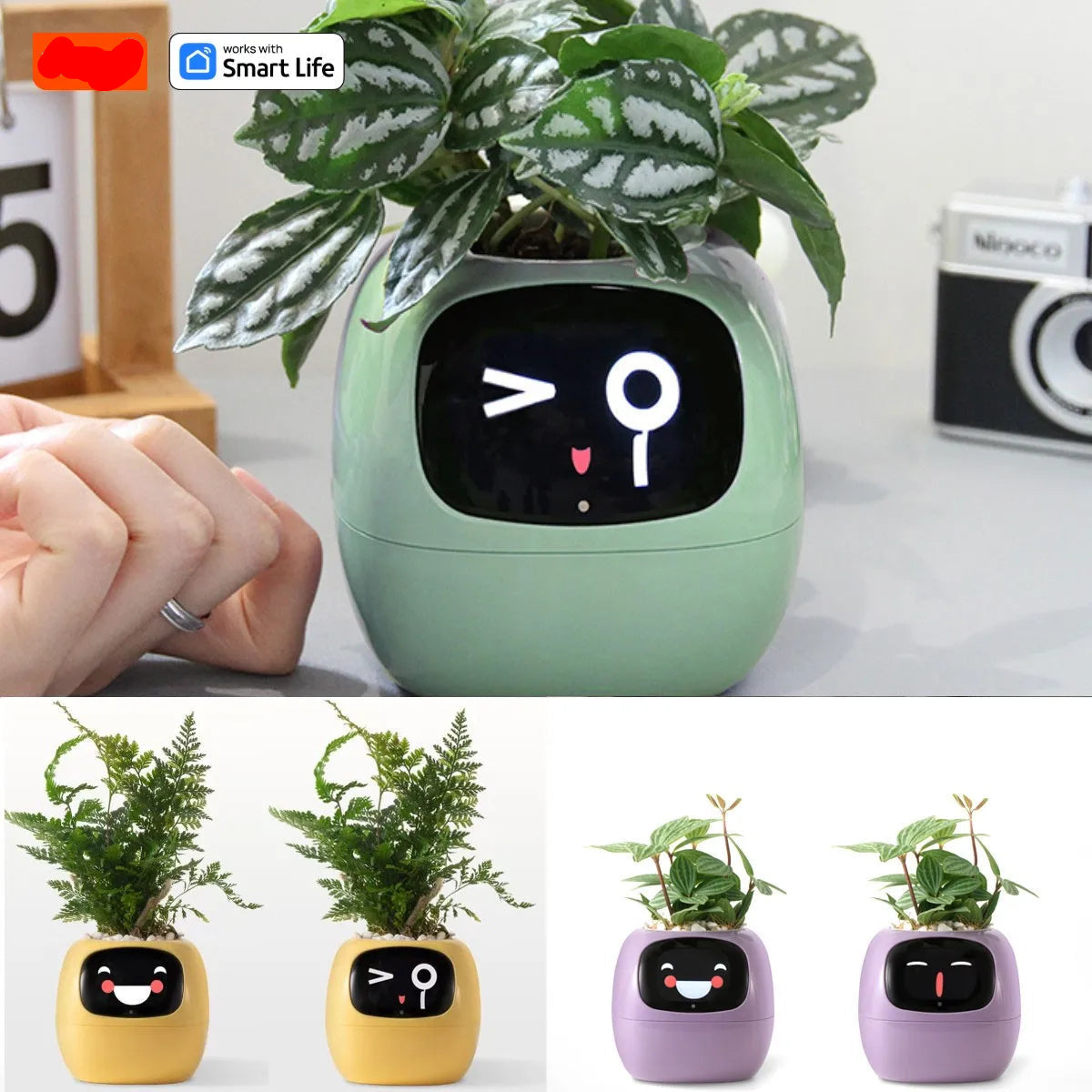 Ivy Smart Planter - Ai-Powered Pot with Sensors and Expressive Animations