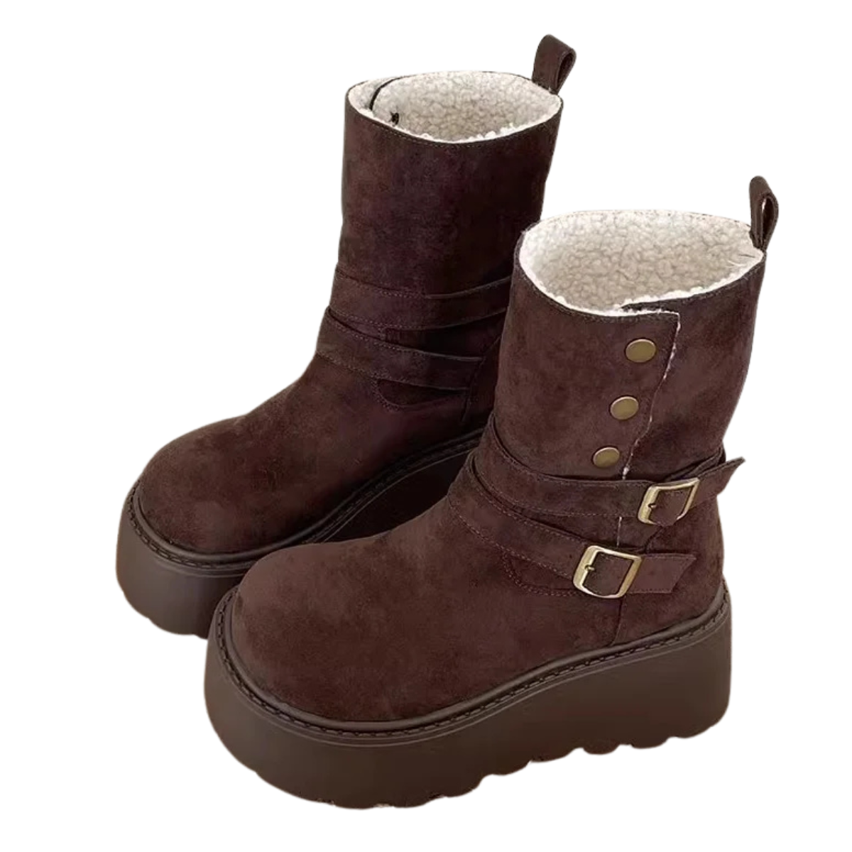 Women's Platform Snow Boots - Thick Bottom Fur Lined Outdoor Shoes