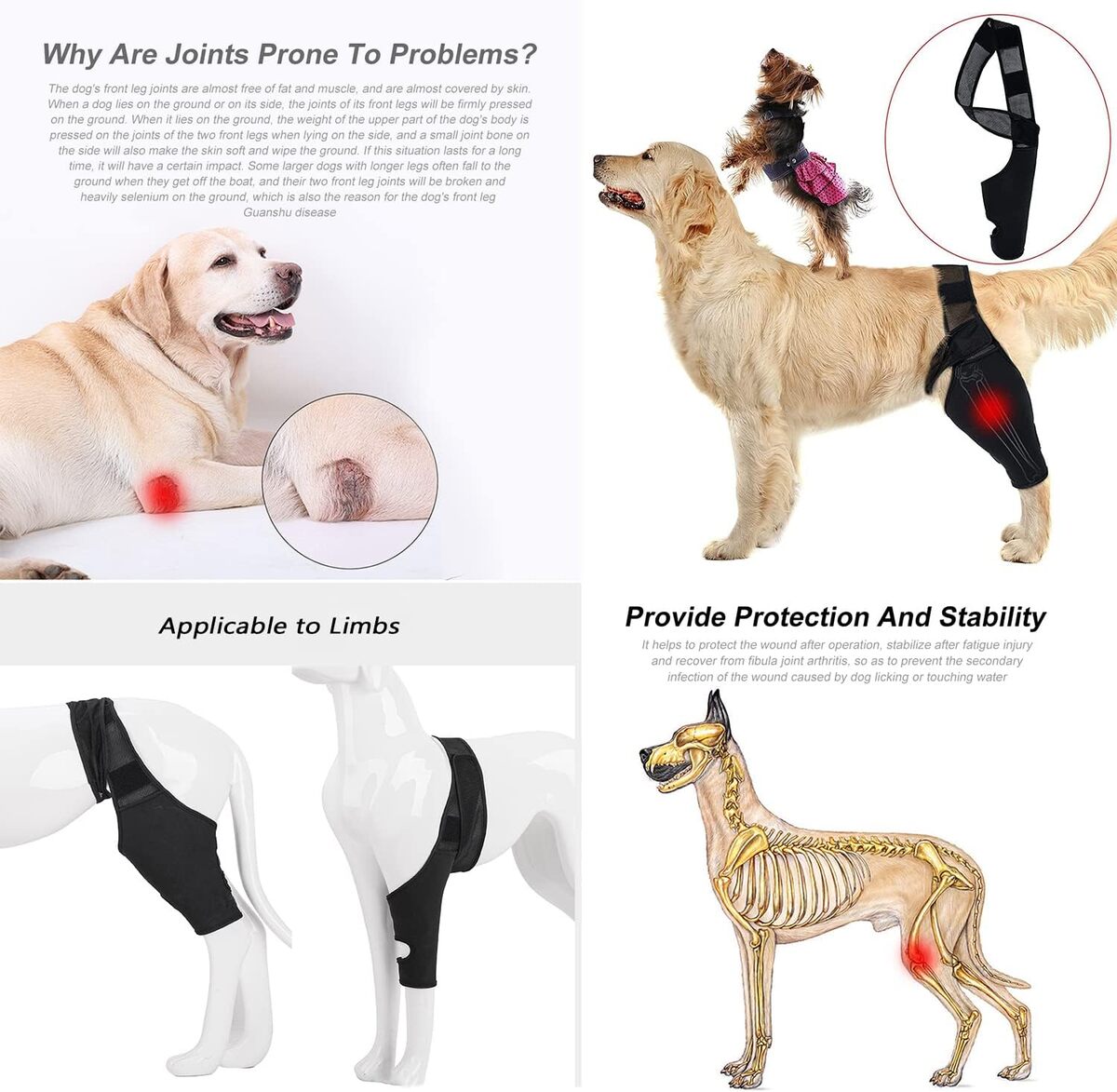 Dog Knee Brace - Rear Leg Support for Joint Pain & Injury