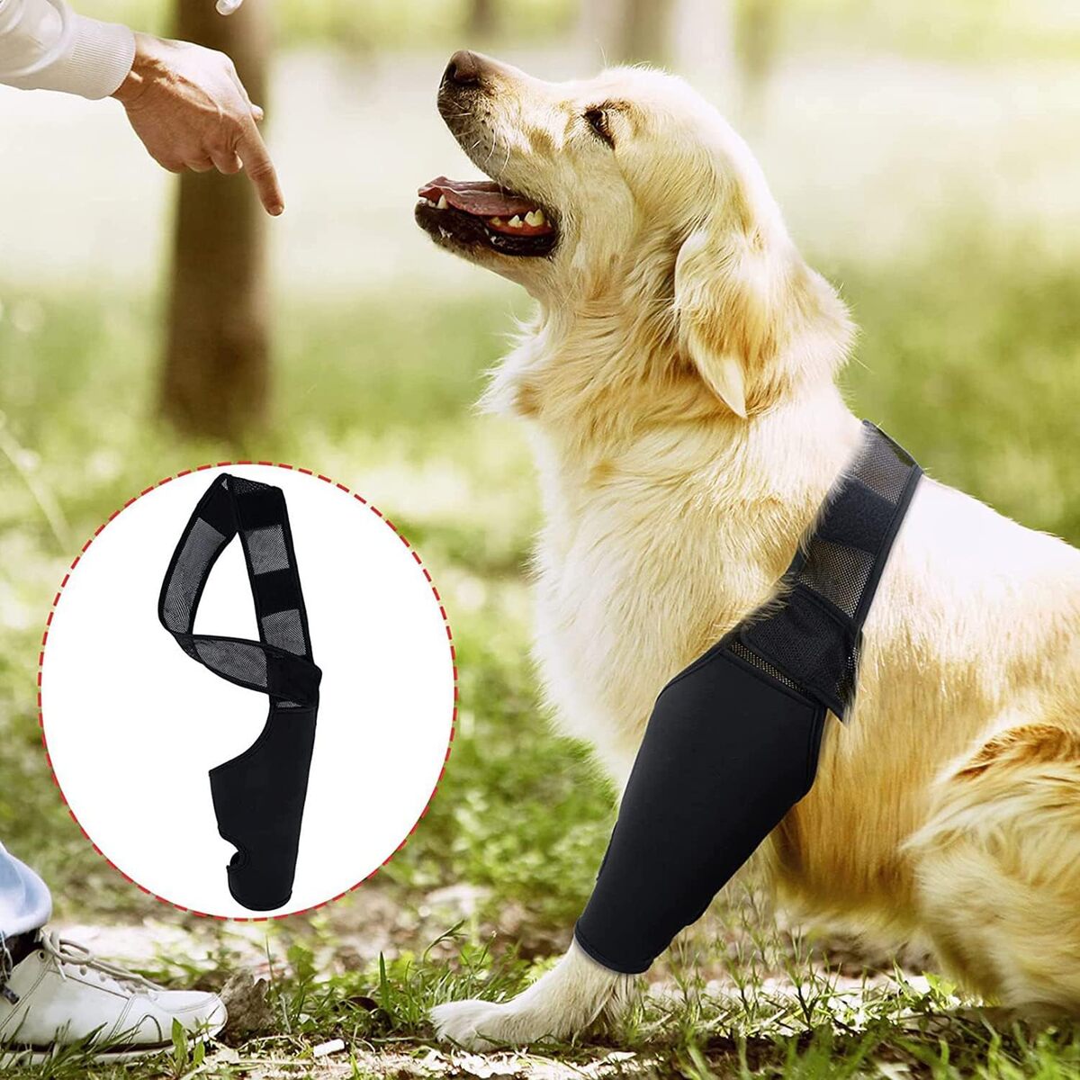 Dog Knee Brace - Rear Leg Support for Joint Pain & Injury