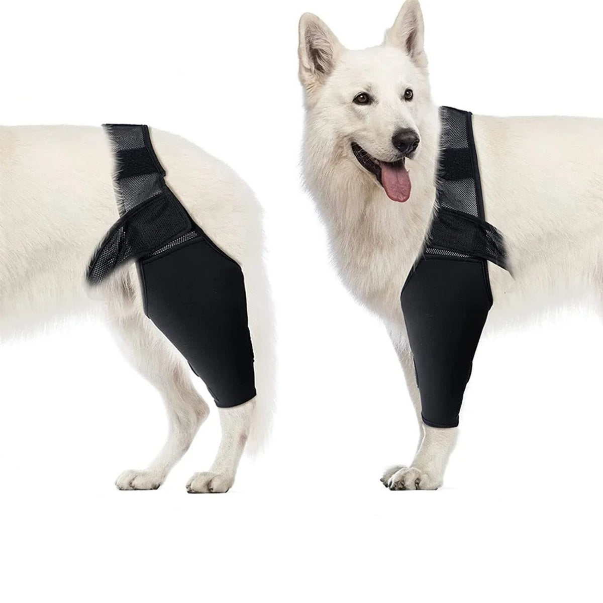 Dog Knee Brace - Rear Leg Support for Joint Pain & Injury