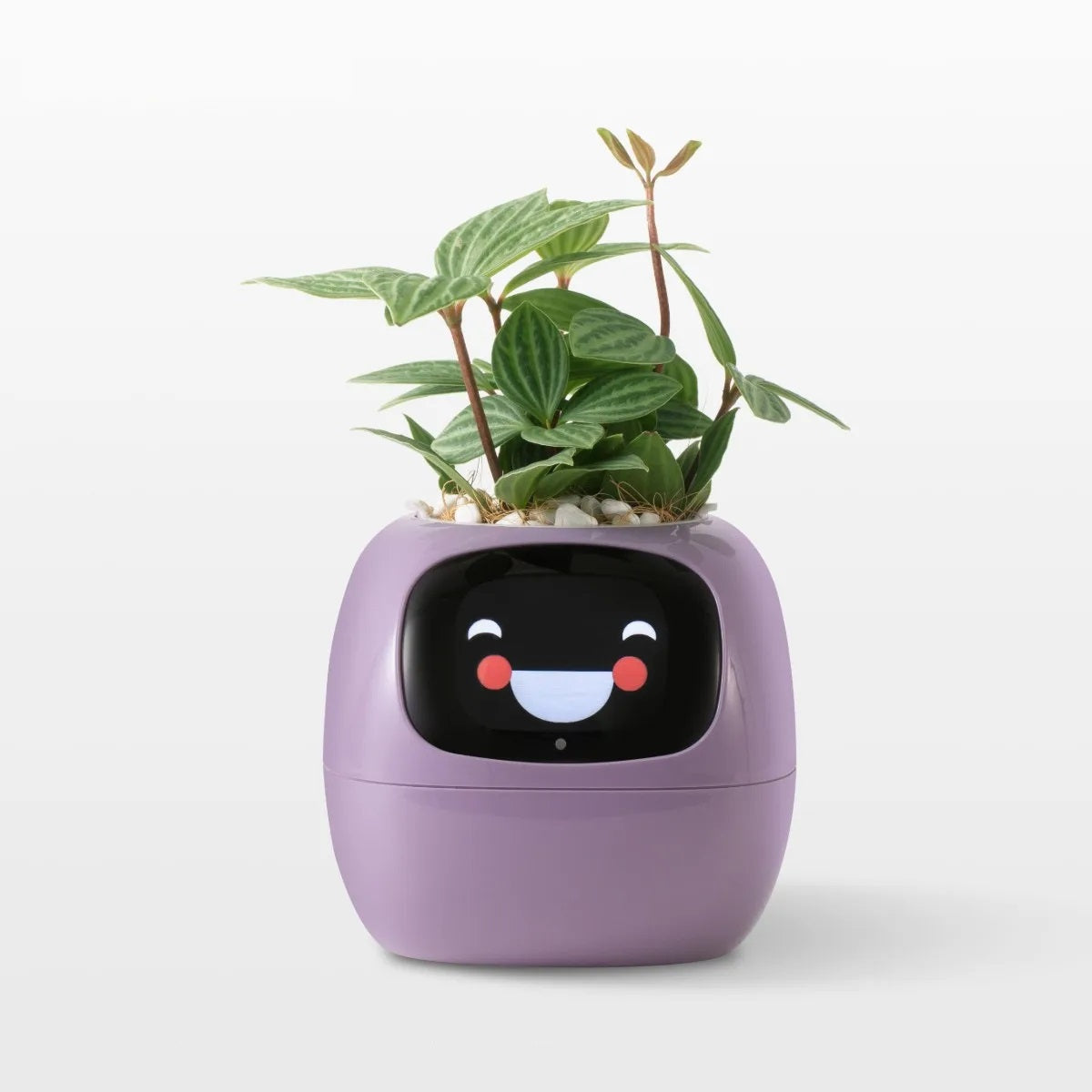Ivy Smart Planter - Ai-Powered Pot with Sensors and Expressive Animations