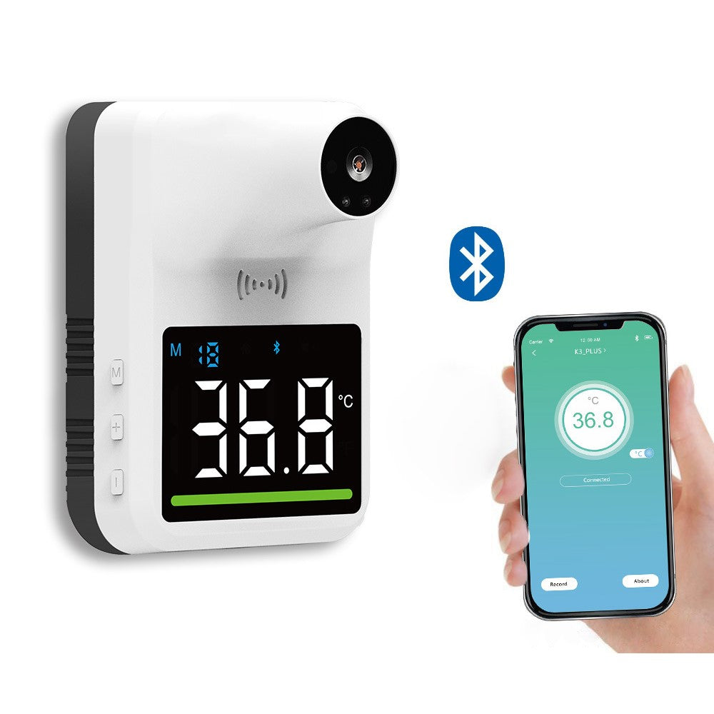 Wall-Mounted Thermometer