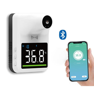 Wall-Mounted Thermometer