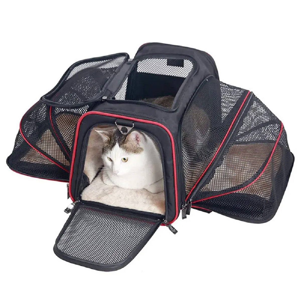 Portable Breathable Foldable Pet Dog Carrier Safety Zipper