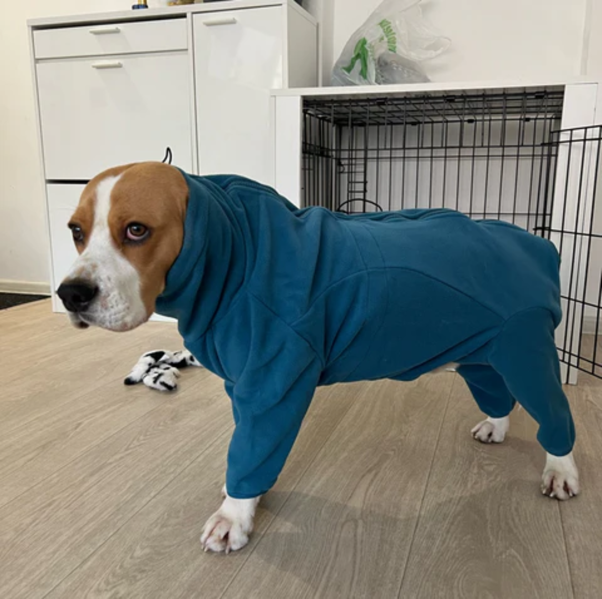 Warm Pet Dog Jacket