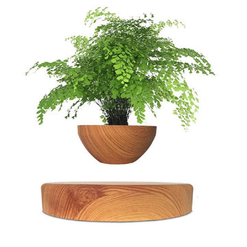 Magnetic Levitating Flower Floating Plant Pot Desk Decor