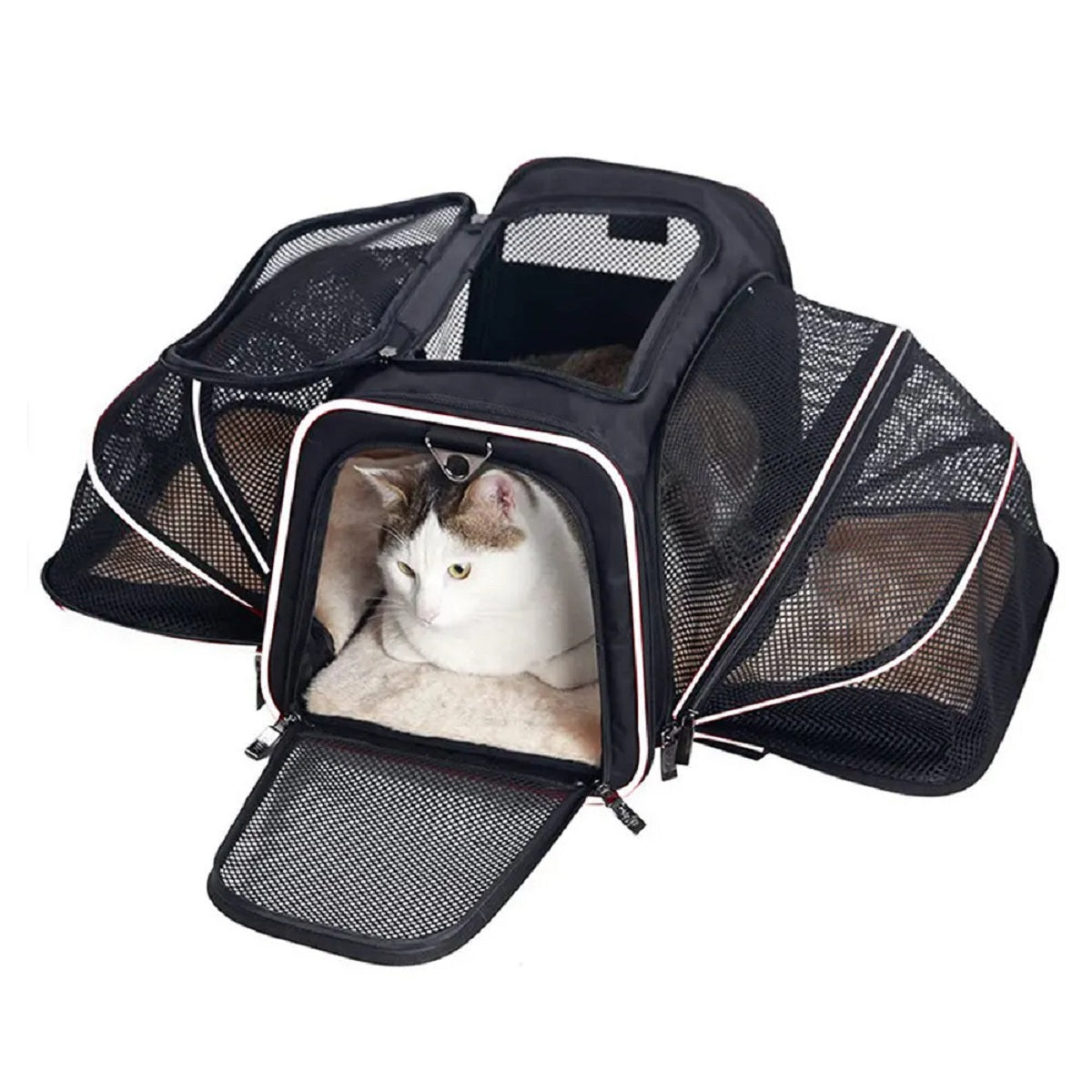 Portable Breathable Foldable Pet Dog Carrier Safety Zipper