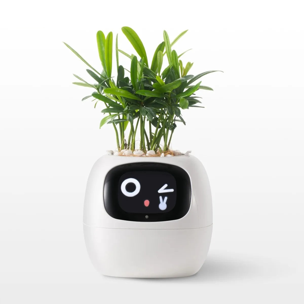 Ai Smart Flowerpot - Interactive Planter with Sensors and Expressive Animations for Indoor Decor