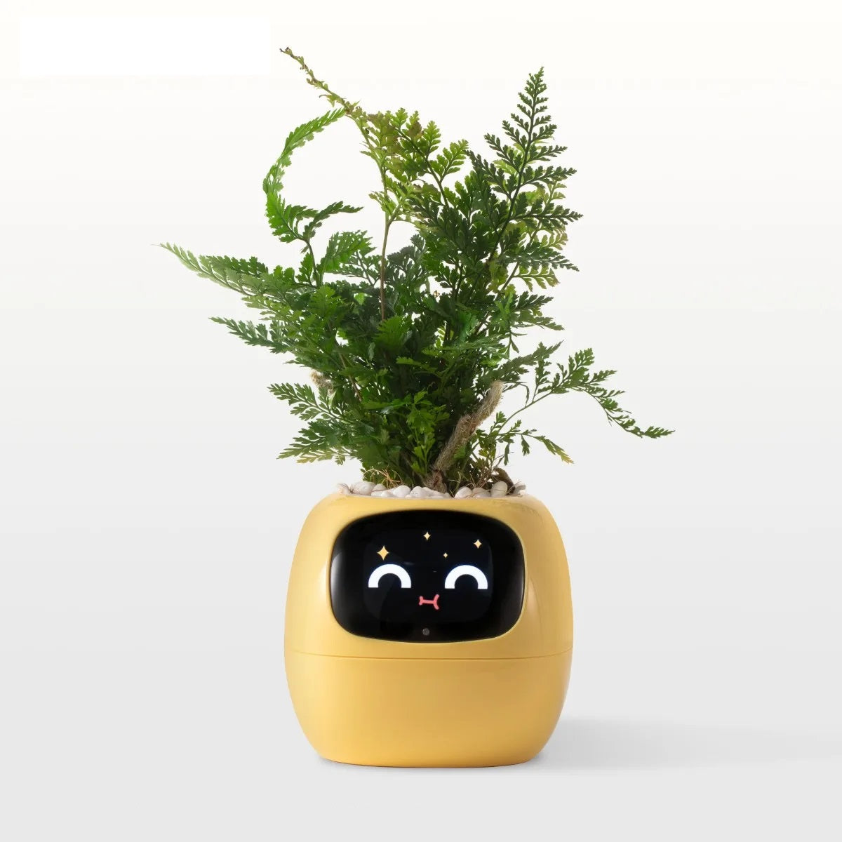 Ivy Smart Planter - Ai-Powered Pot with Sensors and Expressive Animations